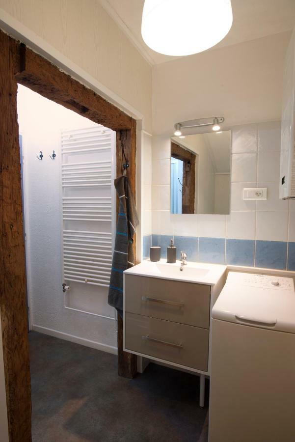 Apartmán " Martin Schongauer " Colmar Exteriér fotografie